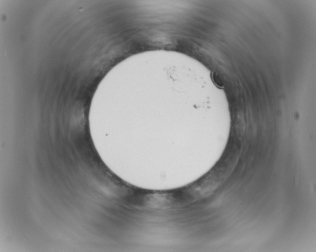 X0000088840320200707051454