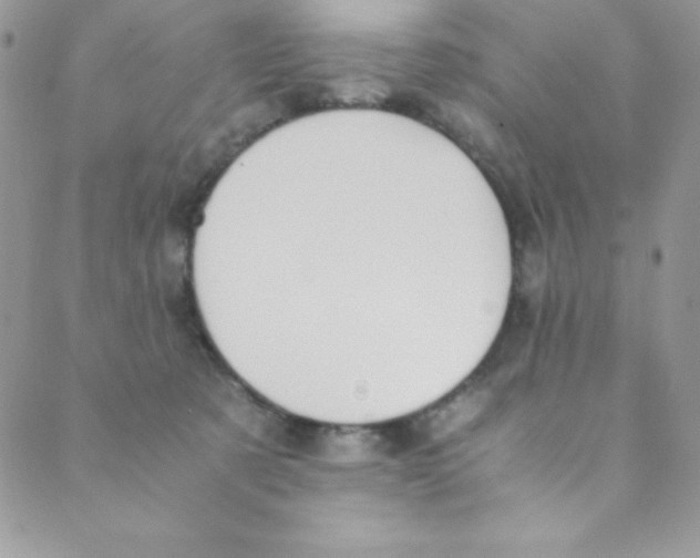 X0000088840321200707051454