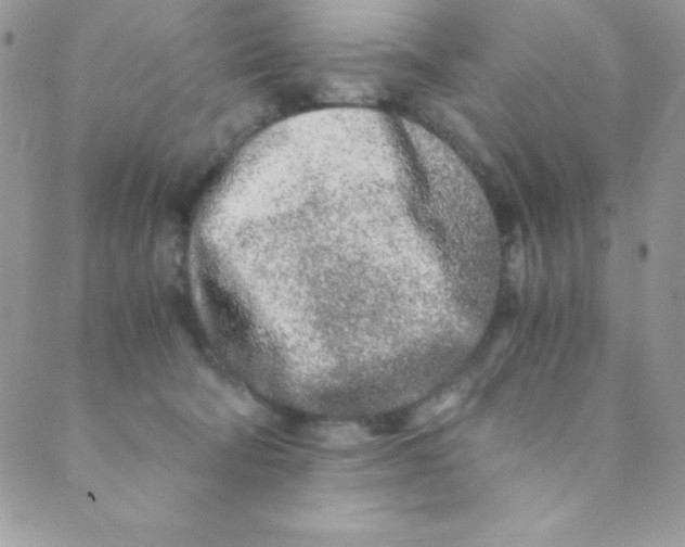 X0000088840322200707051454