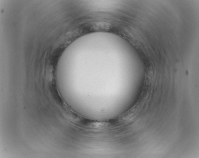 X0000088840323200707051454