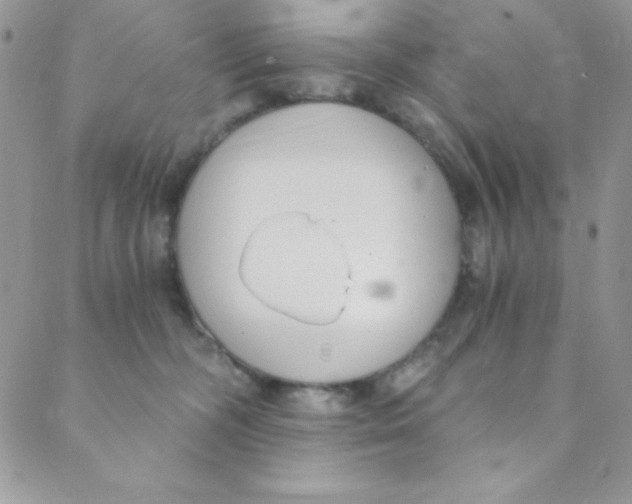 X0000088840326200707051454