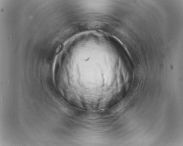 X0000088840327200707051454