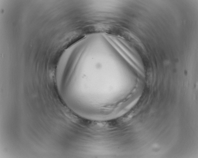 X0000088840329200707051454