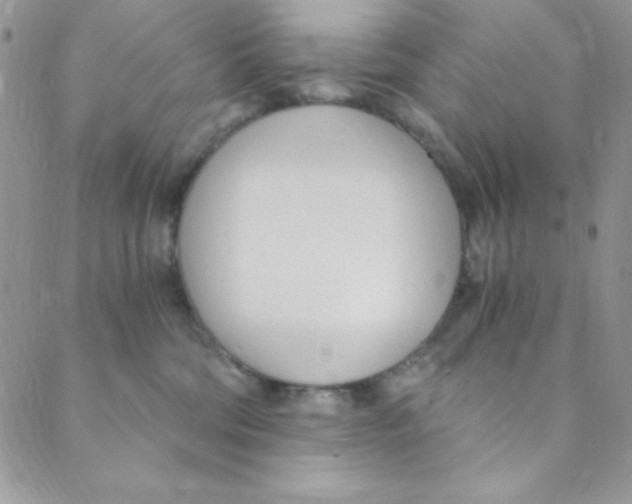 X0000088840330200707051454