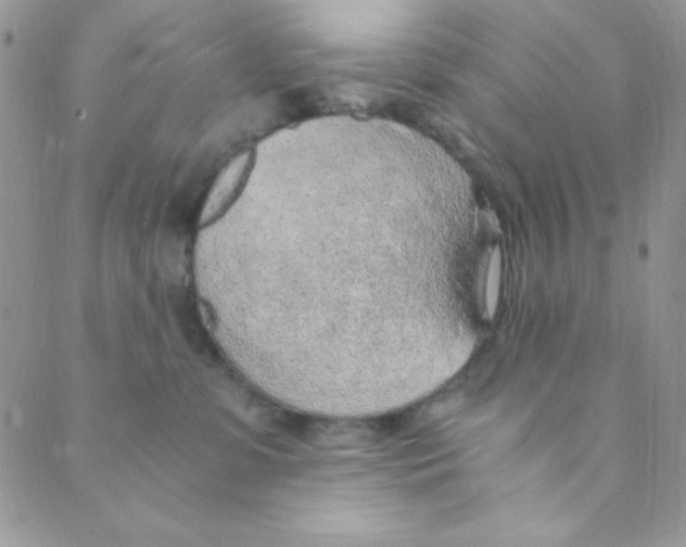 X0000088840331200707051454