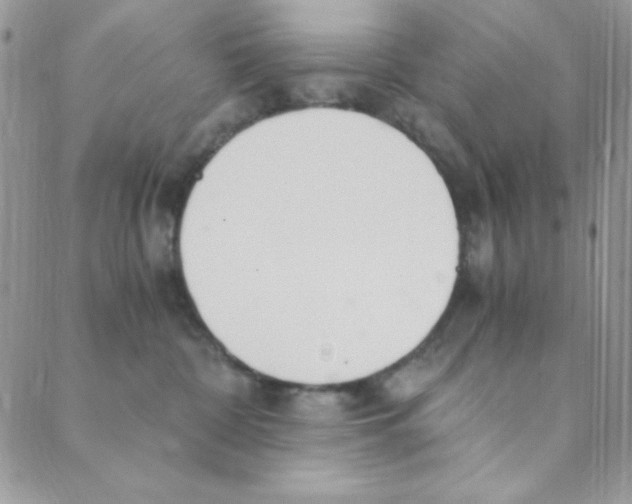 X0000088840332200707051454