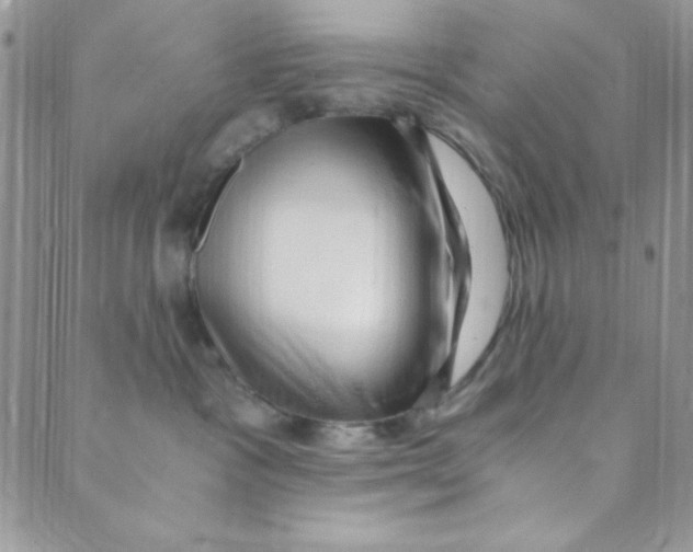 X0000088840333200707051454