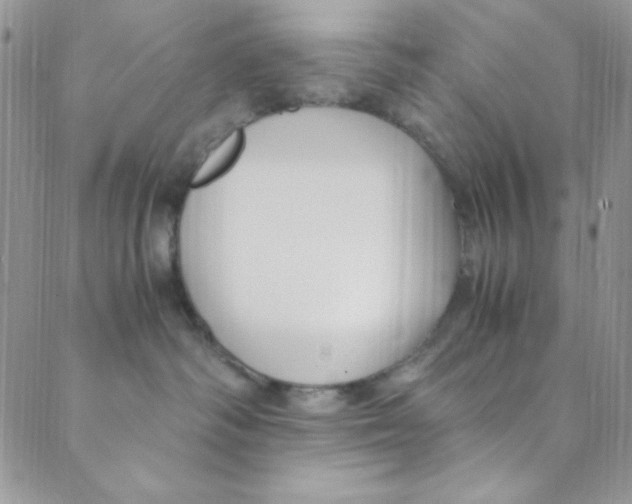 X0000088840334200707051454