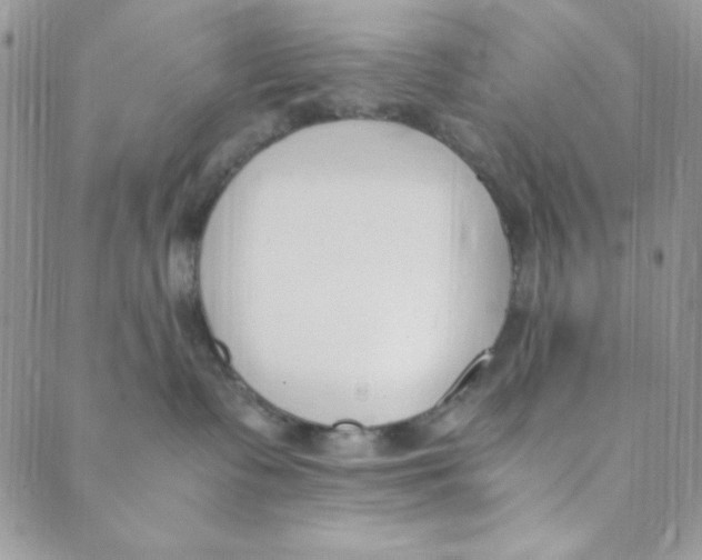 X0000088840335200707051454