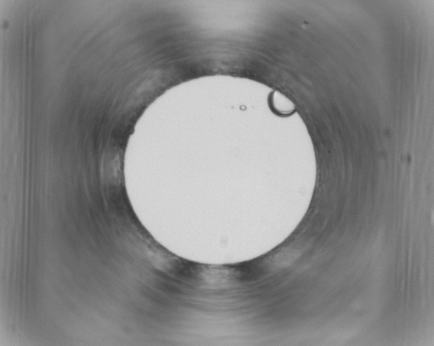 X0000088840336200707051454