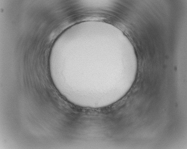 X0000088840337200707051453