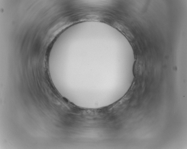 X0000088840338200707051453