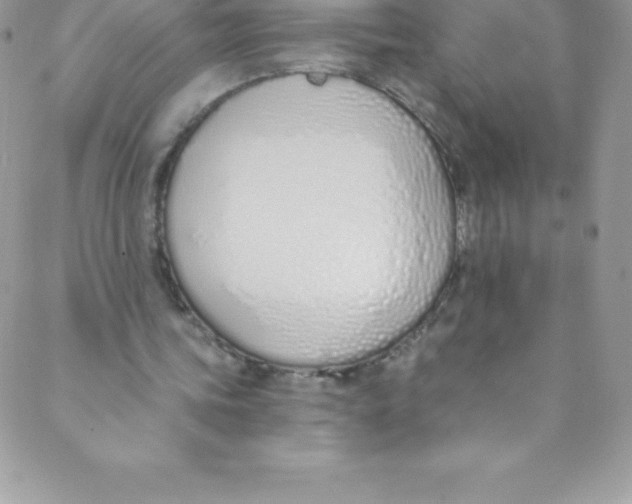 X0000088840339200707051453