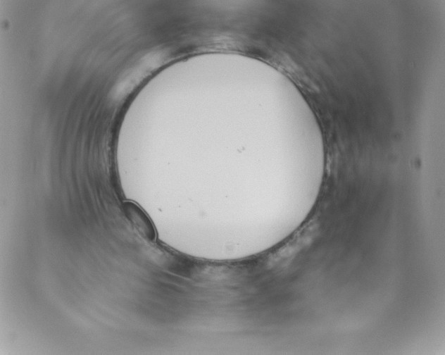 X0000088840341200707051453