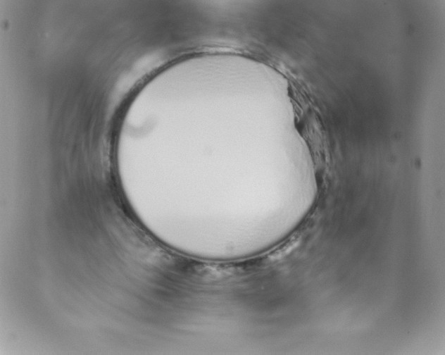 X0000088840343200707051453