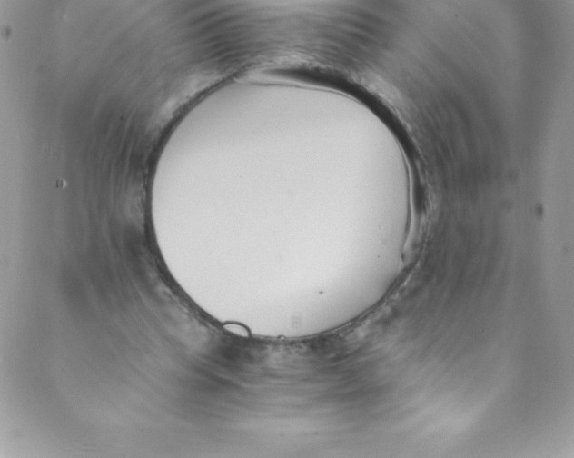 X0000088840345200707051453