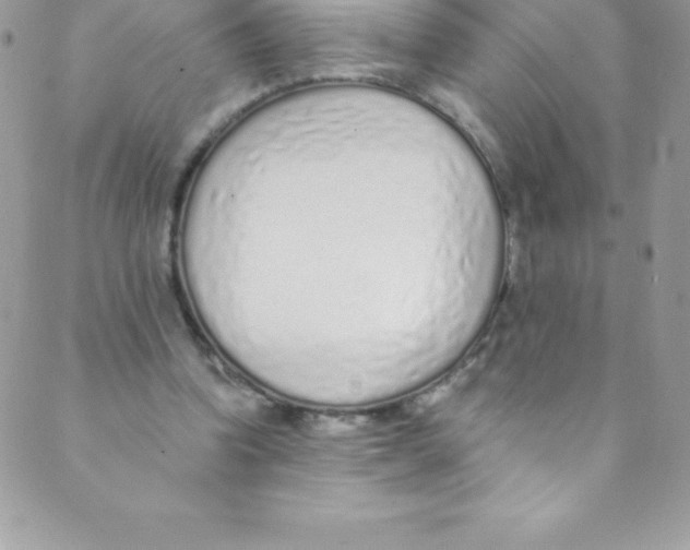 X0000088840346200707051453