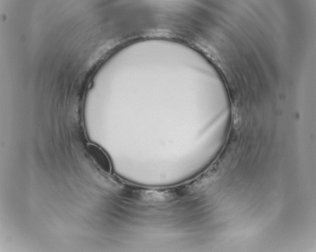 X0000088840347200707051453