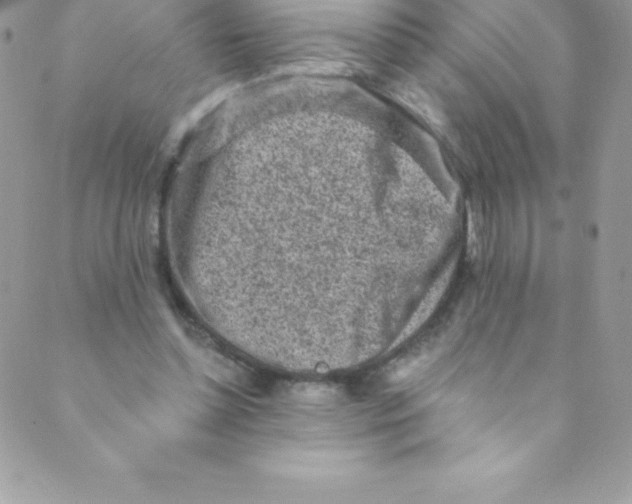 X0000088840348200707051453