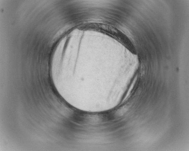 X0000088840349200707051453