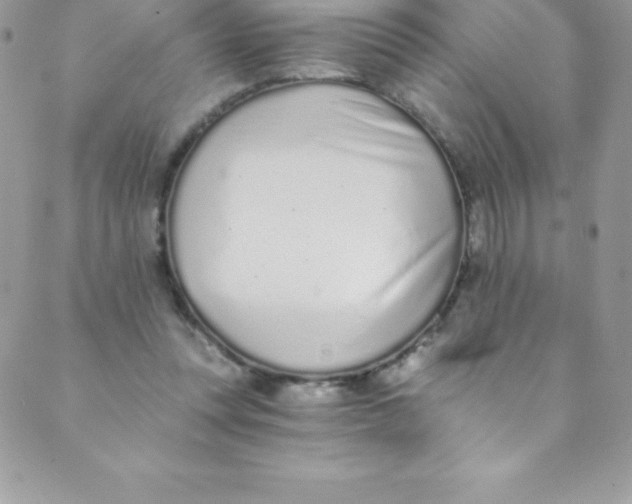 X0000088840351200707051453