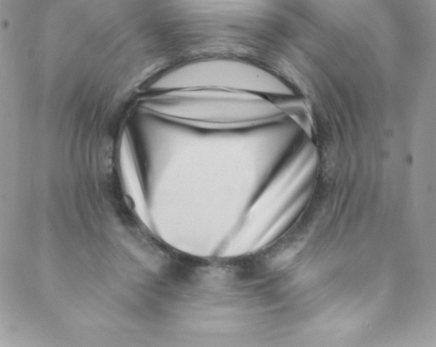 X0000088840356200707051453