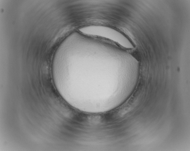 X0000088840357200707051453