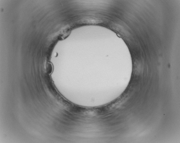 X0000088840358200707051453