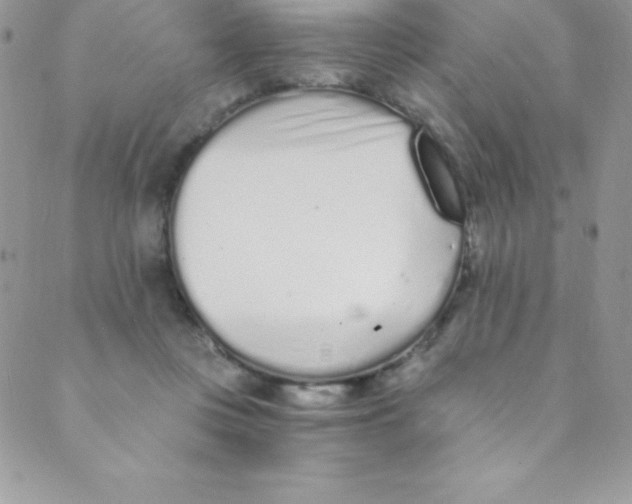 X0000088840359200707051453