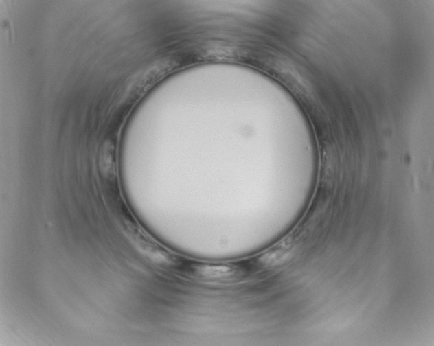 X0000088840361200707051453