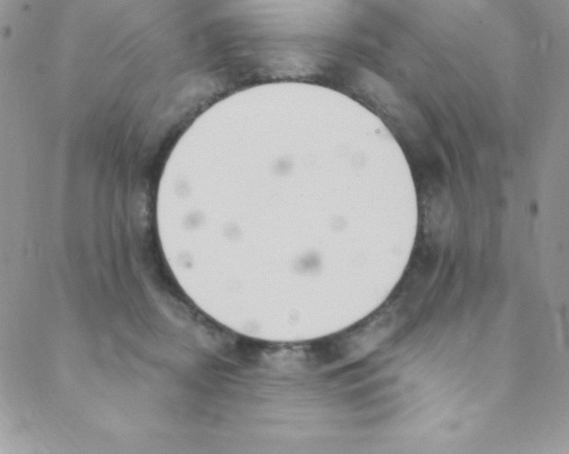 X0000088840362200707051453