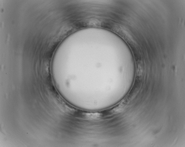 X0000088840363200707051453