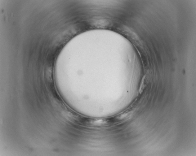 X0000088840365200707051453