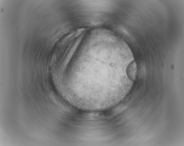 X0000088840366200707051453