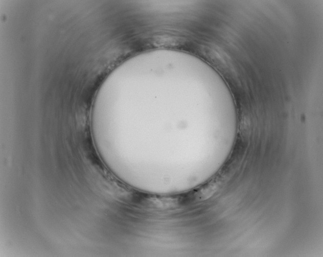 X0000088840367200707051453