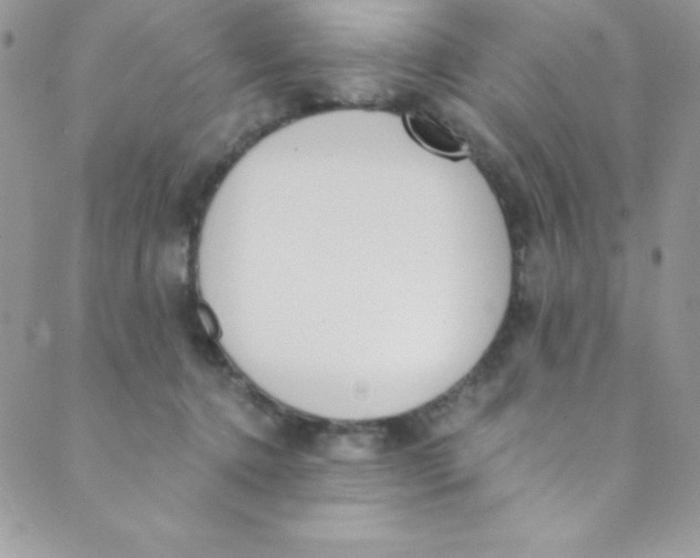 X0000088840368200707051453