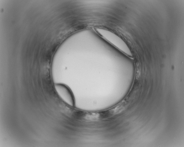 X0000088840369200707051453