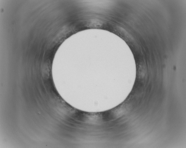 X0000088840370200707051453