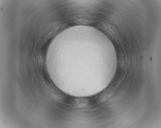 X0000088840371200707051453