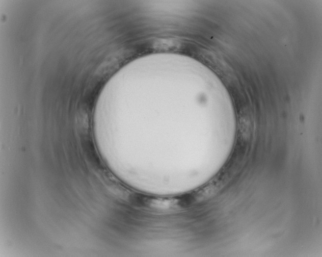 X0000088840375200707051453