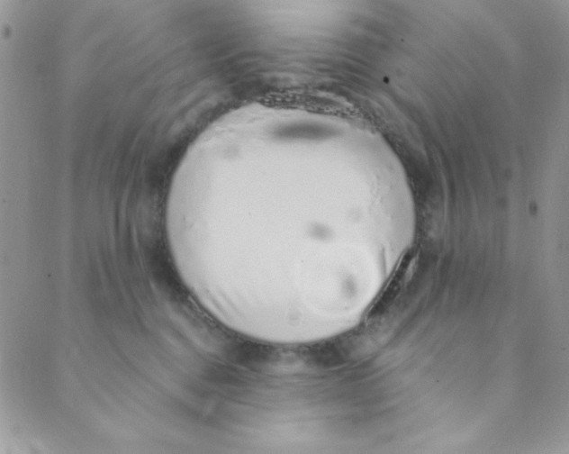 X0000088840376200707051453