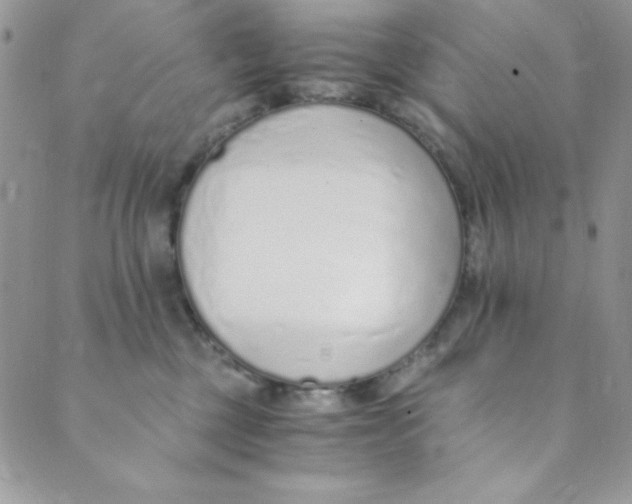 X0000088840377200707051453