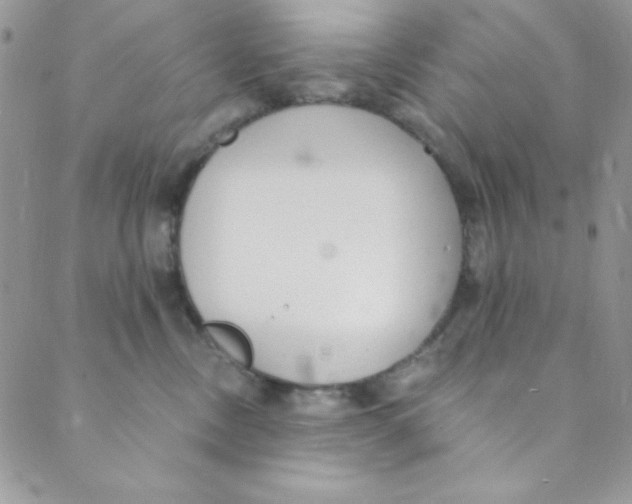 X0000088840378200707051453