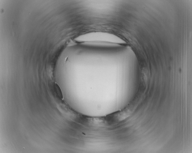 X0000088840380200707051453