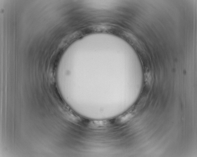 X0000088840381200707051453