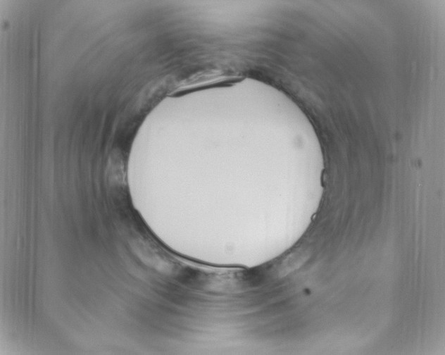 X0000088840384200707051454