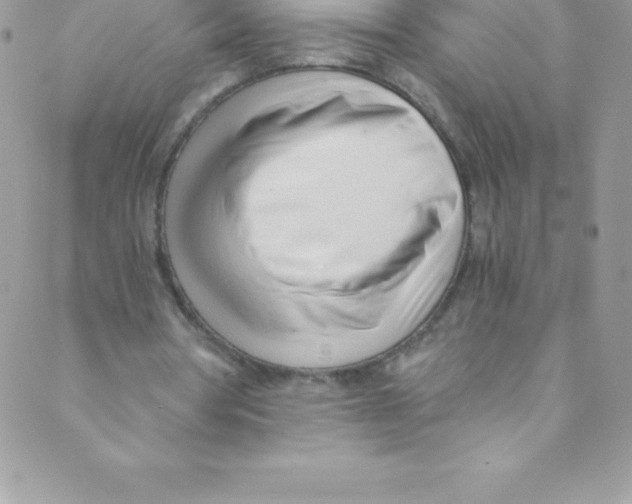 X0000088840386200707051453