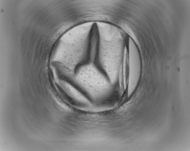 X0000088840389200707051453