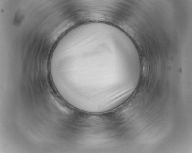 X0000088840390200707051453