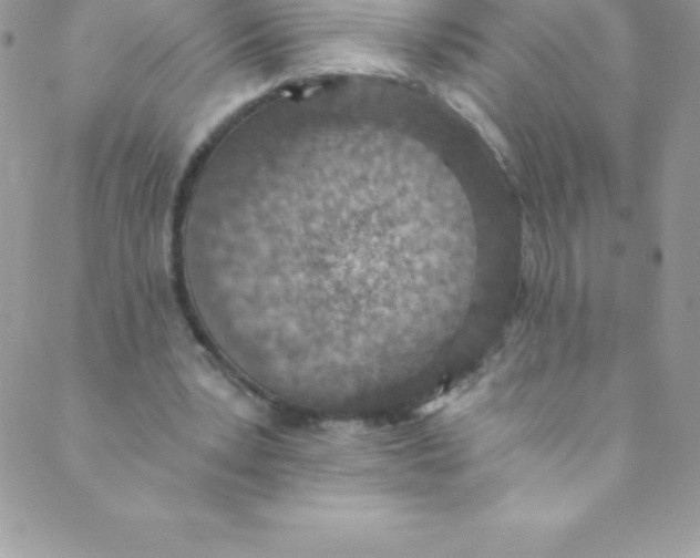 X0000088840391200707051453